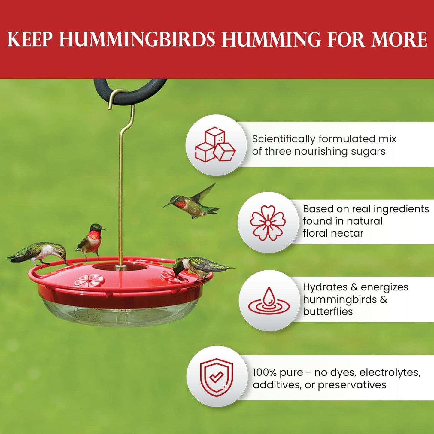 Premium Organic Hummingbird Nectar