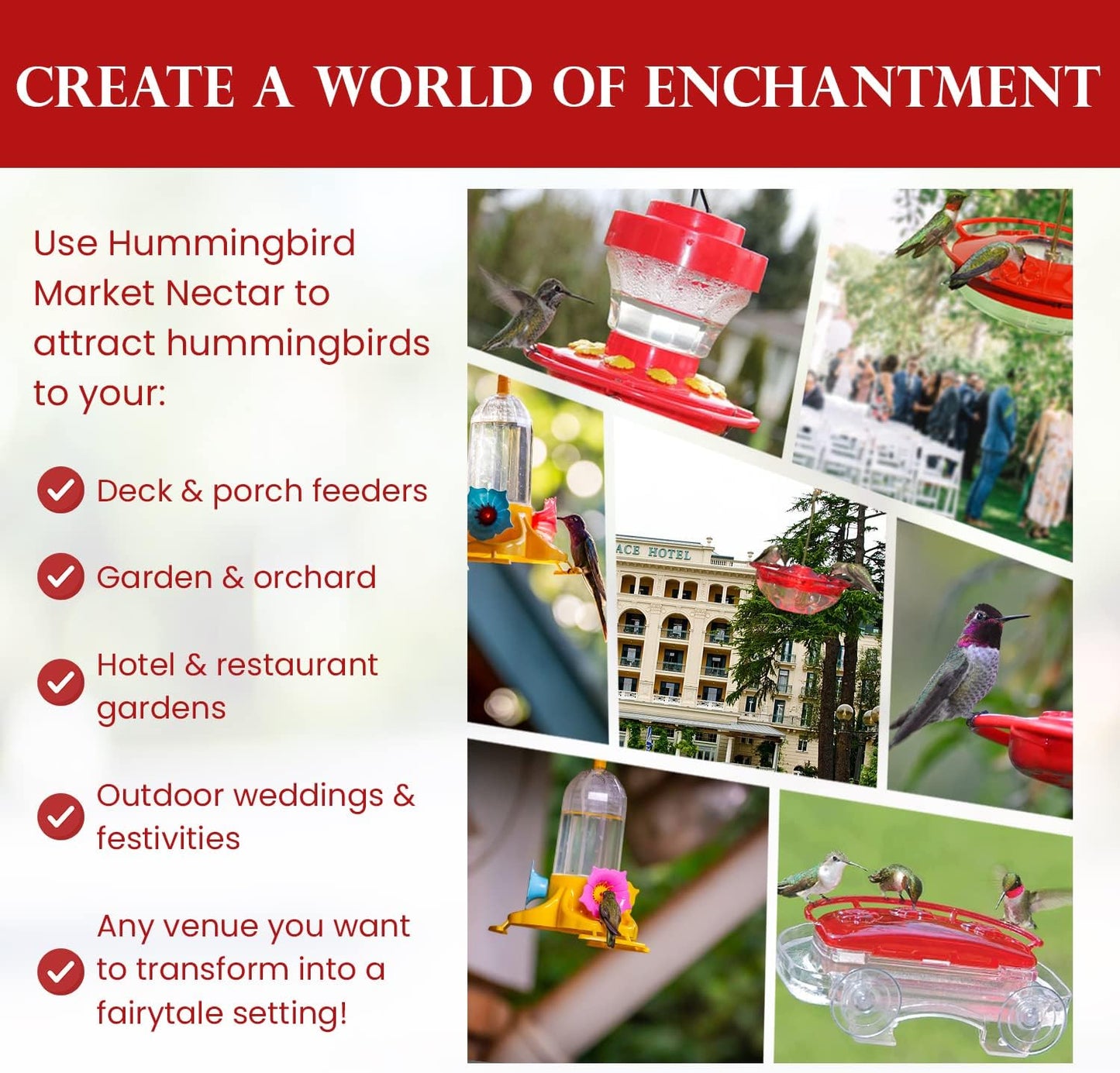 Premium Organic Hummingbird Nectar