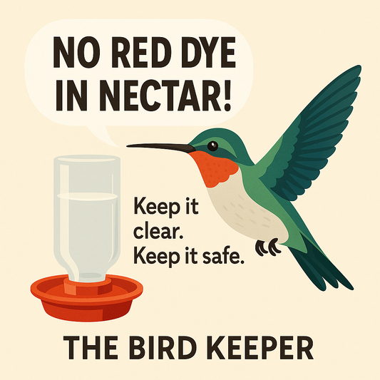 Red Dye in Hummingbird Nectar: Is It Harmful? The Safe Recipe Every Birder Should Use